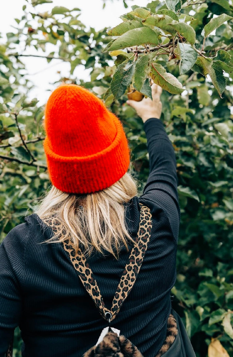 Golden Leopard Tach Band